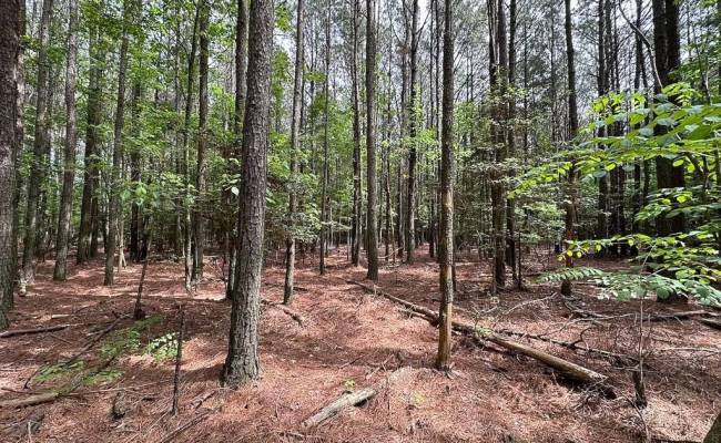 1.75ac Kegotank (Lot 2) Road, Accomack County, VA 23414