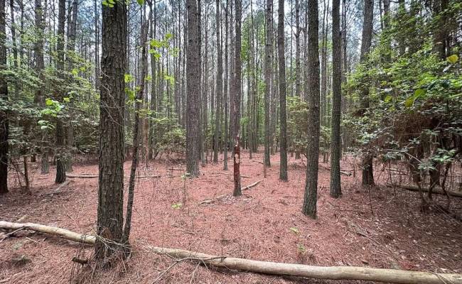 1.73ac Kegotank (lot 7) Road, Accomack County, VA 23414