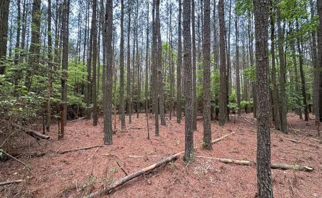 1.73ac Kegotank (lot 7) Road, Accomack County, VA 23414