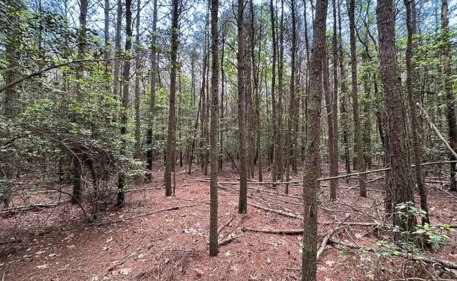 1.73ac Kegotank (lot 7) Road, Accomack County, VA 23414