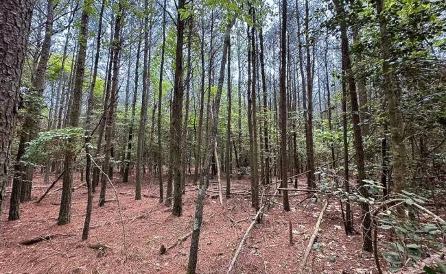 1.73ac Kegotank (lot 7) Road, Accomack County, VA 23414