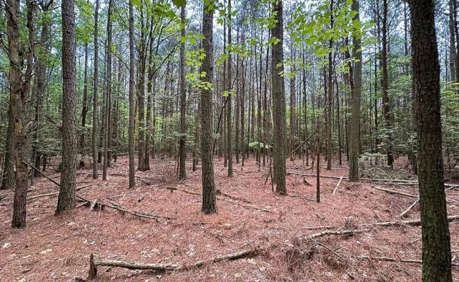 1.73ac Kegotank (lot 7) Road, Accomack County, VA 23414