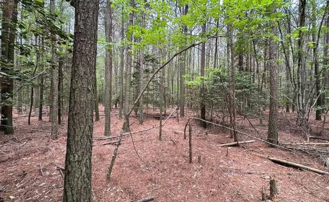 1.73ac Kegotank (lot 7) Road, Accomack County, VA 23414