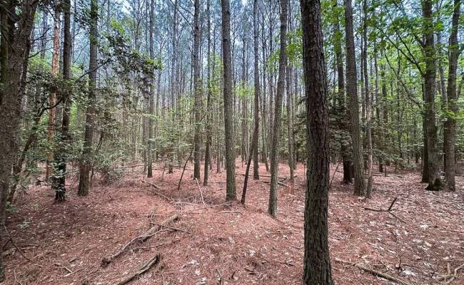 1.73ac Kegotank (lot 7) Road, Accomack County, VA 23414