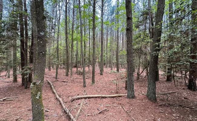 1.73ac Kegotank  (Lot 8) Road, Accomack County, VA 23414