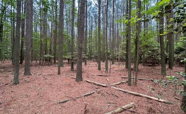 1.73ac Kegotank  (Lot 8) Road, Accomack County, VA 23414