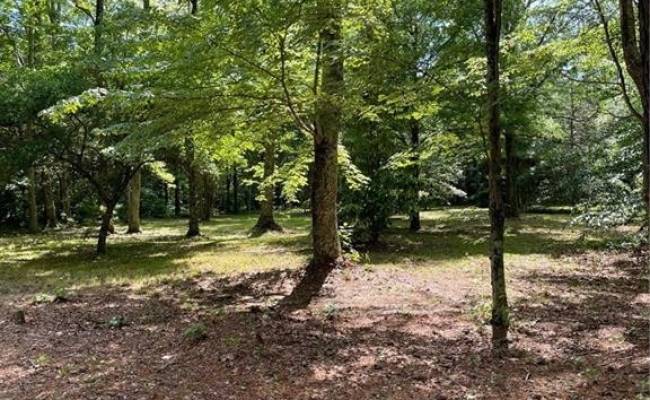 11+ac Glass Road, Gloucester County, VA 23072