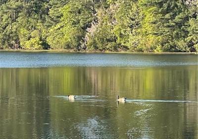 5.88ac Days Point Lane, Isle of Wight County, VA 23430