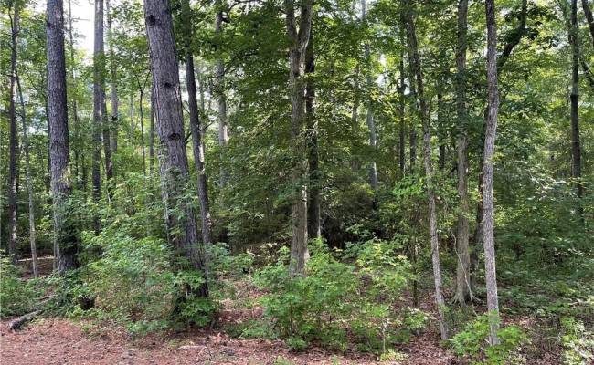 1.9ac Two Rivers Trail, New Kent County, VA 23089