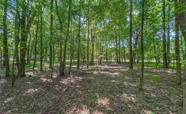 PARA-1 Jolliff Road, Chesapeake, VA 23321