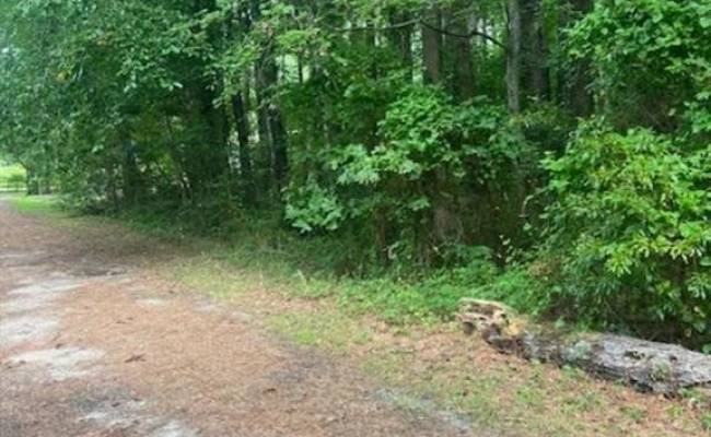 .46ac Severn Drive, Gloucester County, VA 23072