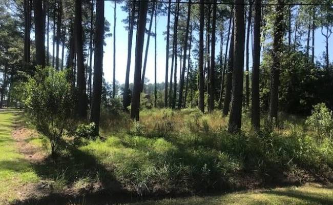 Lot 33 Beaumar Road, Mathews County, VA 23119