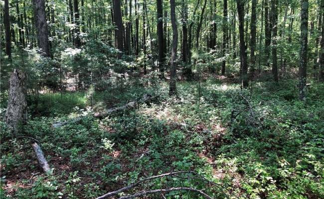 Lot 2A Pleasant Cove Drive, Northampton County, VA 23350