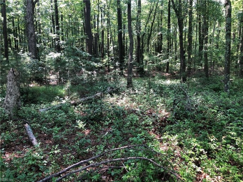 Photo 1 of 16 land for sale in Northampton County virginia