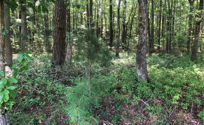 Lot 2A Pleasant Cove Drive, Northampton County, VA 23350