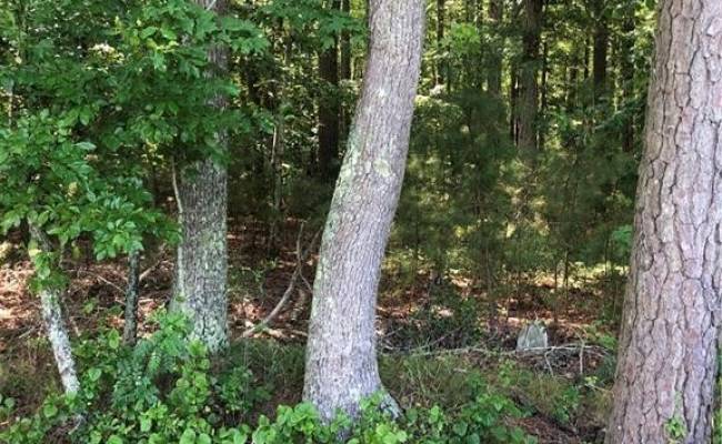 Lot 2A Pleasant Cove Drive, Northampton County, VA 23350