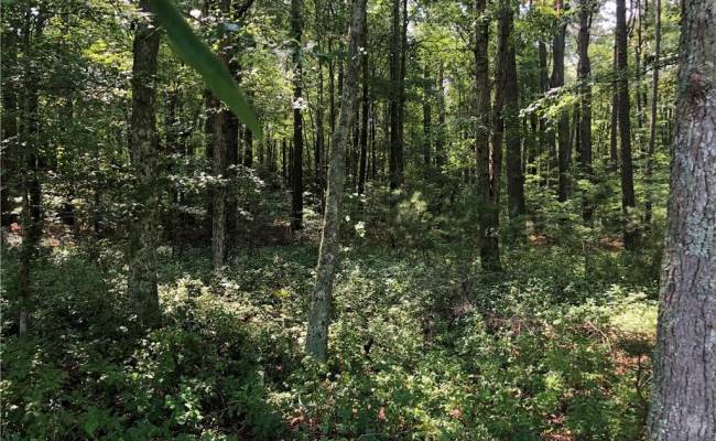 Lot 2A Pleasant Cove Drive, Northampton County, VA 23350