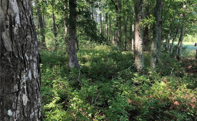 Lot 2A Pleasant Cove Drive, Northampton County, VA 23350