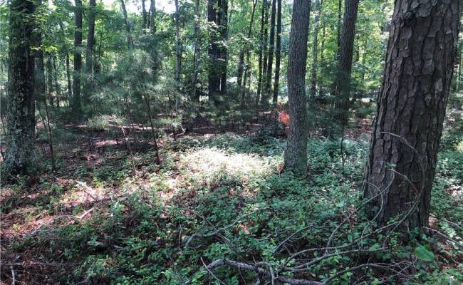 Lot 2A Pleasant Cove Drive, Northampton County, VA 23350