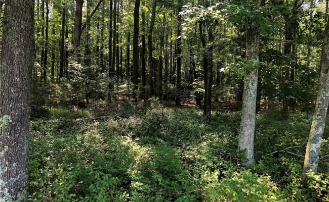 Lot 2A Pleasant Cove Drive, Northampton County, VA 23350