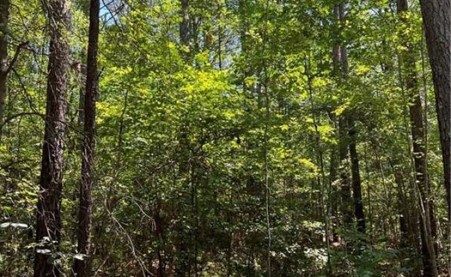 7.5ac Loco School (Lot 3) Road, Sussex County, VA 23882