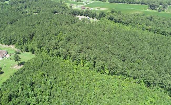 7.5ac Loco School (Lot 3) Road, Sussex County, VA 23882