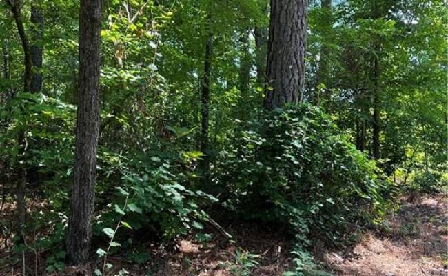 7.5ac Loco School (Lot 3) Road, Sussex County, VA 23882