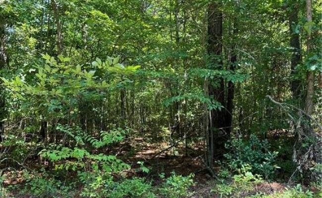 7.5ac Loco School (Lot 3) Road, Sussex County, VA 23882