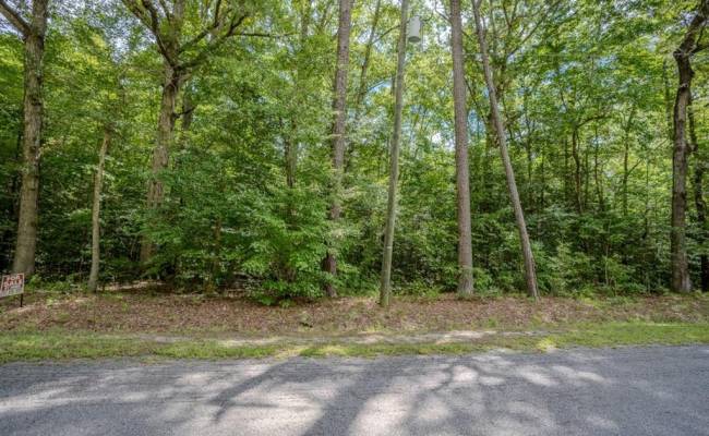 10+ac Jenkins Mill Road, Franklin, VA 23851