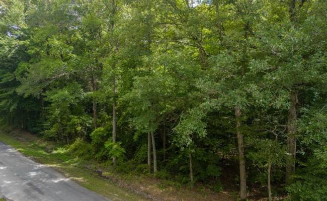 10+ac Jenkins Mill Road, Franklin, VA 23851