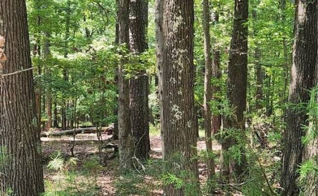 6.3 AC Harris Creek Road, Hampton, VA 23668