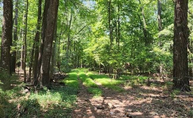 6.3 AC Harris Creek Road, Hampton, VA 23668