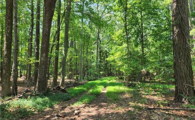 6.3 AC Harris Creek Road, Hampton, VA 23668