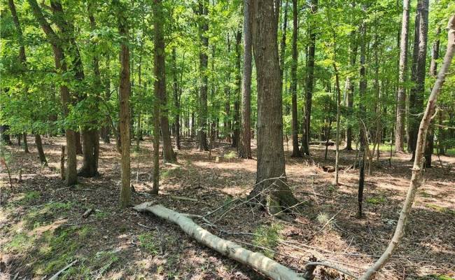 6.3 AC Harris Creek Road, Hampton, VA 23668