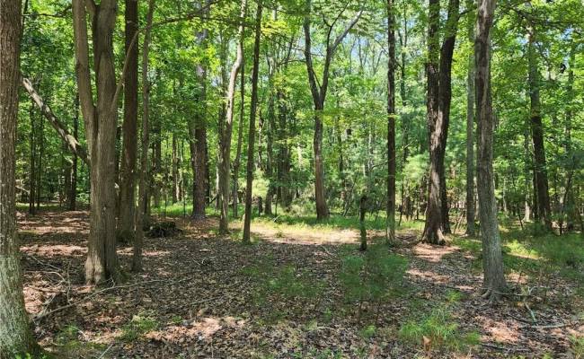 6.3 AC Harris Creek Road, Hampton, VA 23668