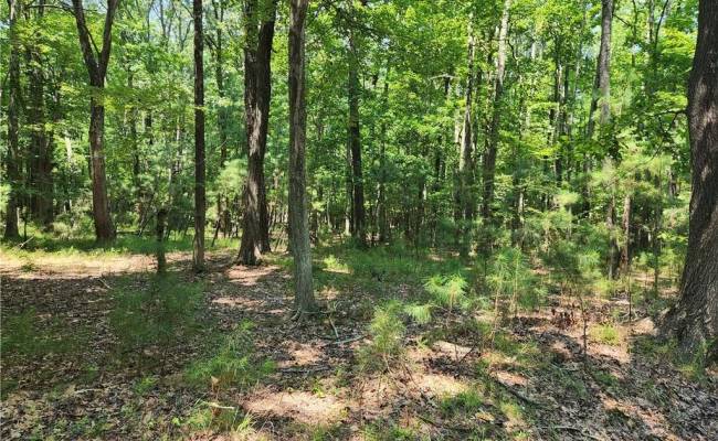 6.3 AC Harris Creek Road, Hampton, VA 23668