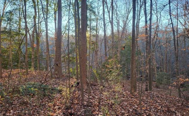 Lot 18 Beech Tree Court, Gloucester County, VA 23061