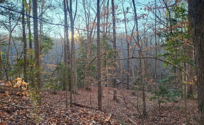 Lot 18 Beech Tree Court, Gloucester County, VA 23061