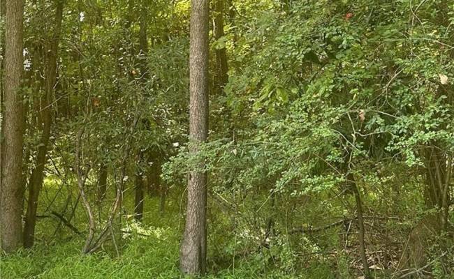 4700 Elizabeth Harbor Drive, Chesapeake, VA 23321