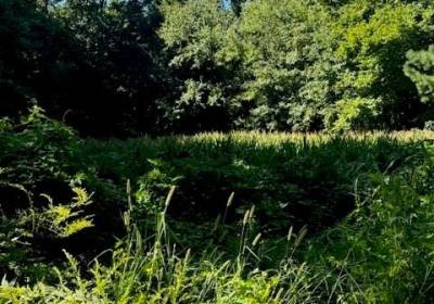 lot NR 15-A-20A Road, Northampton County, VA 23354