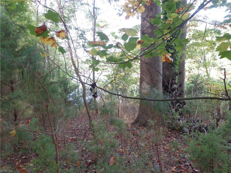 Photo 1 of 9 land for sale in Isle of Wight County virginia