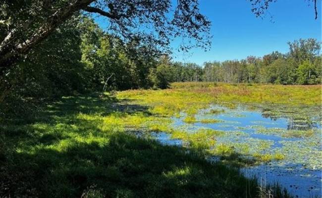 23+ac CHESTNUT Road, Brunswick County, VA 23821