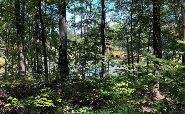 23+ac CHESTNUT Road, Brunswick County, VA 23821