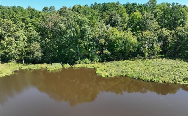 23+ac CHESTNUT Road, Brunswick County, VA 23821