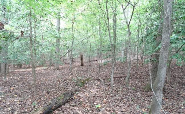 19+ac Hilltop Lane, Isle of Wight County, VA 23430