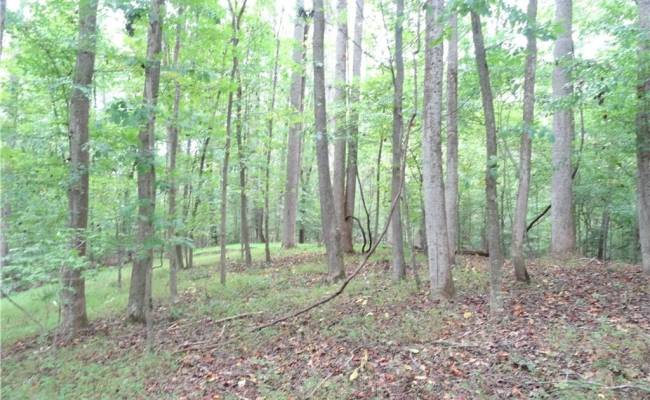 19+ac Hilltop Lane, Isle of Wight County, VA 23430