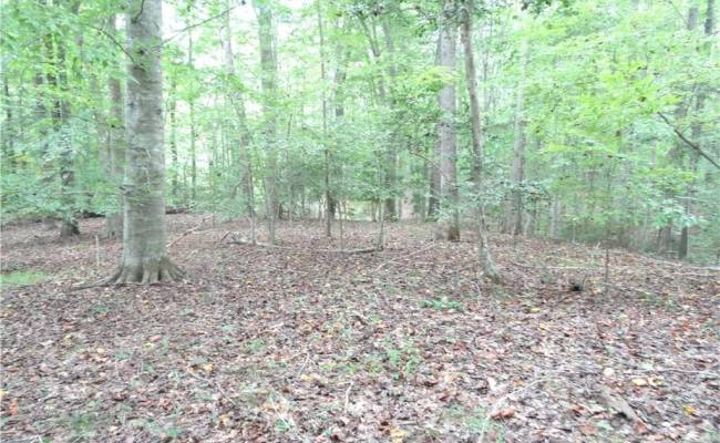 19+ac Hilltop Lane, Isle of Wight County, VA 23430