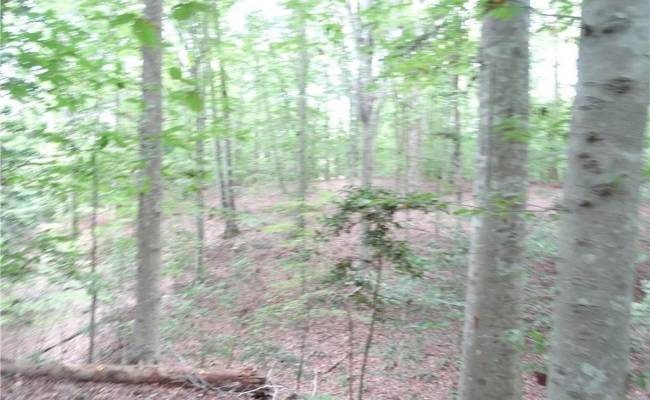 19+ac Hilltop Lane, Isle of Wight County, VA 23430