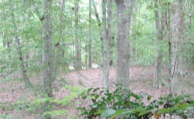 19+ac Hilltop Lane, Isle of Wight County, VA 23430