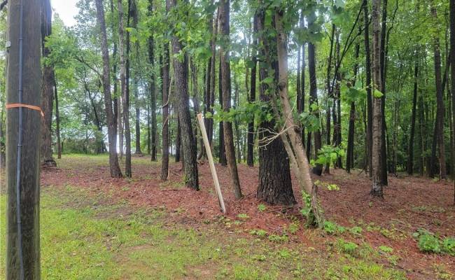 1.3ac Bradbys Lane, Isle of Wight County, VA 23430